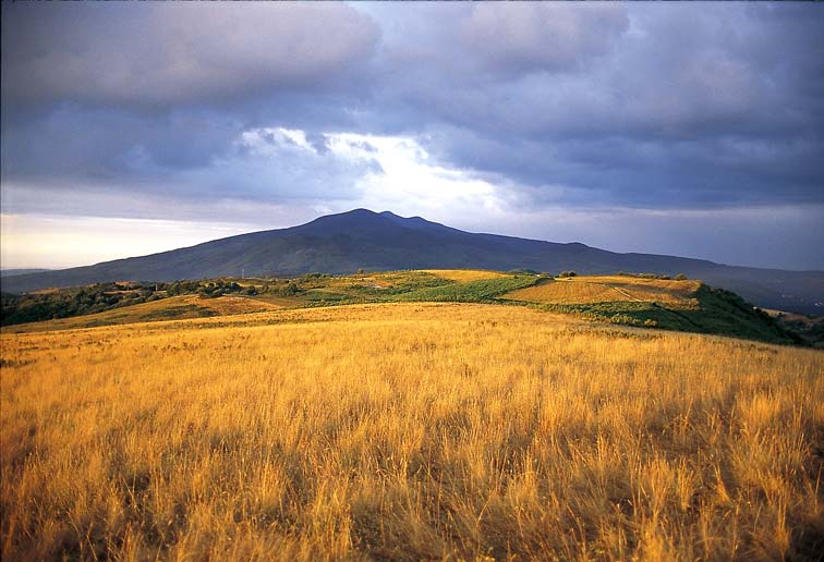 Monte-Amiata